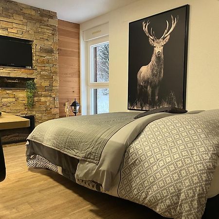 Studio Chalet Cosy Gerardmer Bagian luar foto